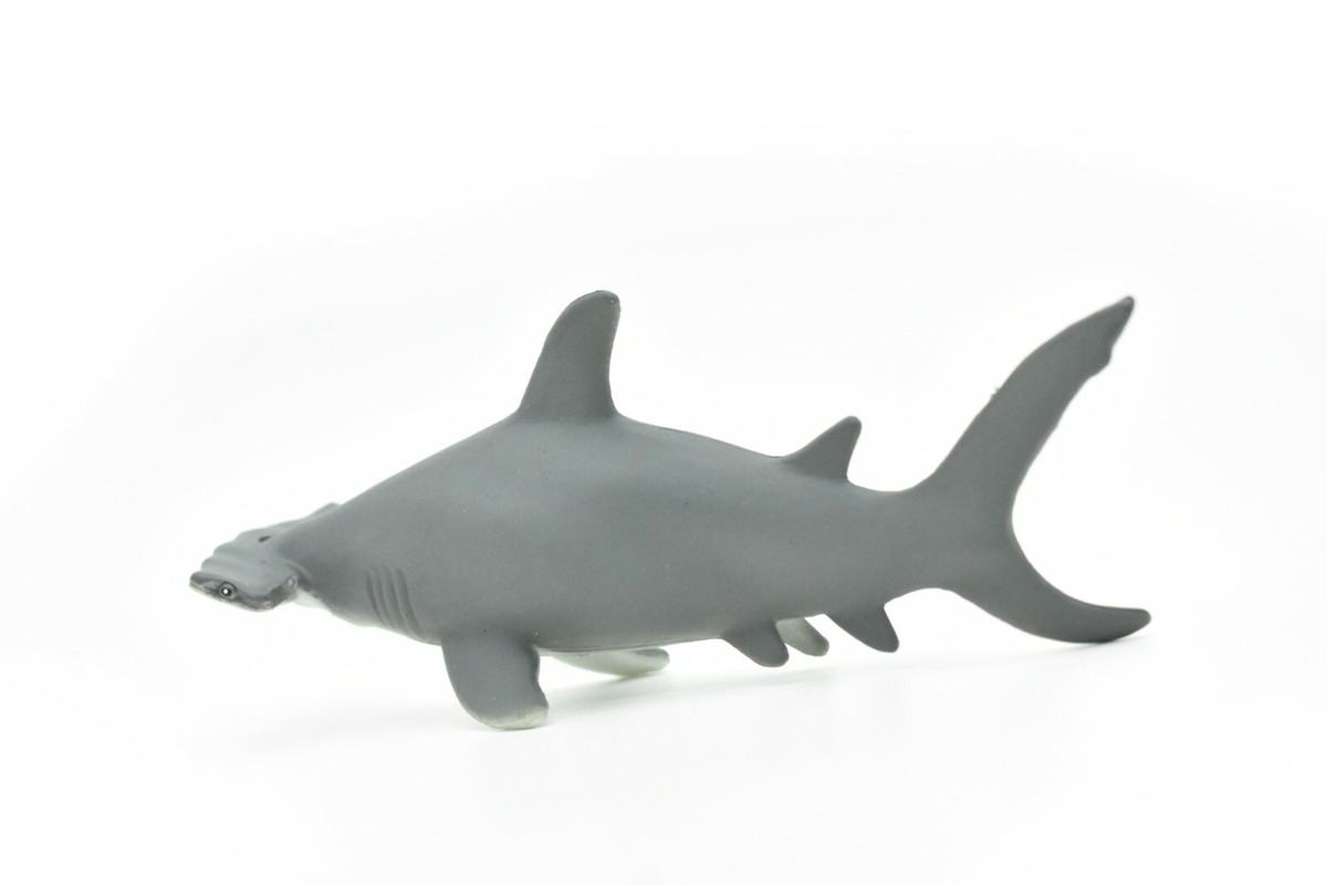 邦楽 Hammer Head Shark BYE MY NAKED Hammer Head Shark / BYE MY NAKED | The Domestic