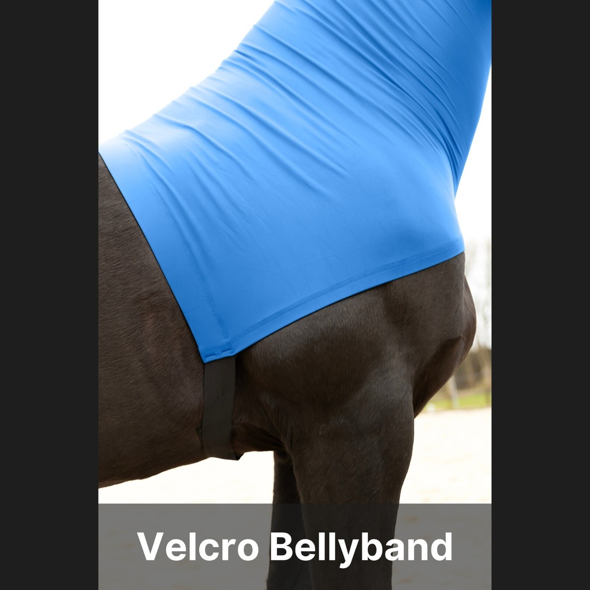 Cappuccio elasticizzato per cavallo con cerniera, copertura integrale per viso e collo per protezione dal prurito dolce, protezione per spalle e protezione contro le mosche, nero, XL