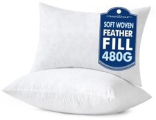 1x0 Pillow Inserts Pack,Feather Mix Polyester 12x20 Inch Pack of 2 Plush 2