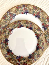 Muirfield TM 9217 Florence Set - Dinner Plate (5) and Salad Plate (4) NEW