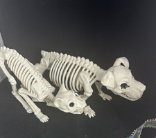 Halloween skeleton Dog Or Cat Prop Decor Inside outside Set Of2