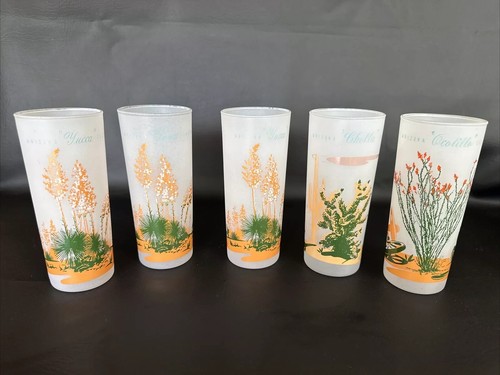 Blakely Oil & Gas Frosted Arizona Cactus Highball Tea Tumblers Glasses 8 Pcs Set - Picture 4 of 15