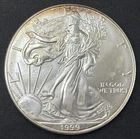 1999 American Silver Eagle 1 Ounce .999 Fine Silver Coin Brilliant Uncirculated