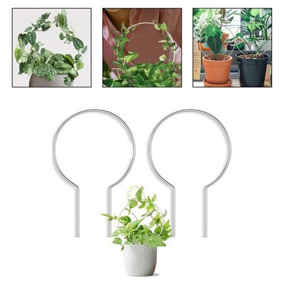 2 Acrylic Climbing Frames for Plant Support Creative Design Transparent ...