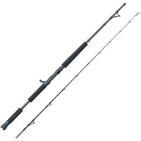 Eisele Bootsrute Thrill 2,1M 8-12Lbs FüR Multirolle - Meeresrute, Rute Steckrute