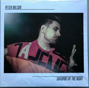 Peter Wilson Shadow Of The Night Hold You Tight Italoconnection Mixes New Ebay ebay