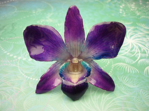Real Orchid Flower Necklace - Cyan/Blue/Purple. Beautiful gift for Mum - Picture 10 of 10