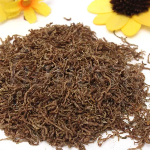 60-200g Freeze Dried Blood Worm Fresh Tropical Fish Discus Food Feeding - Picture 2 of 5