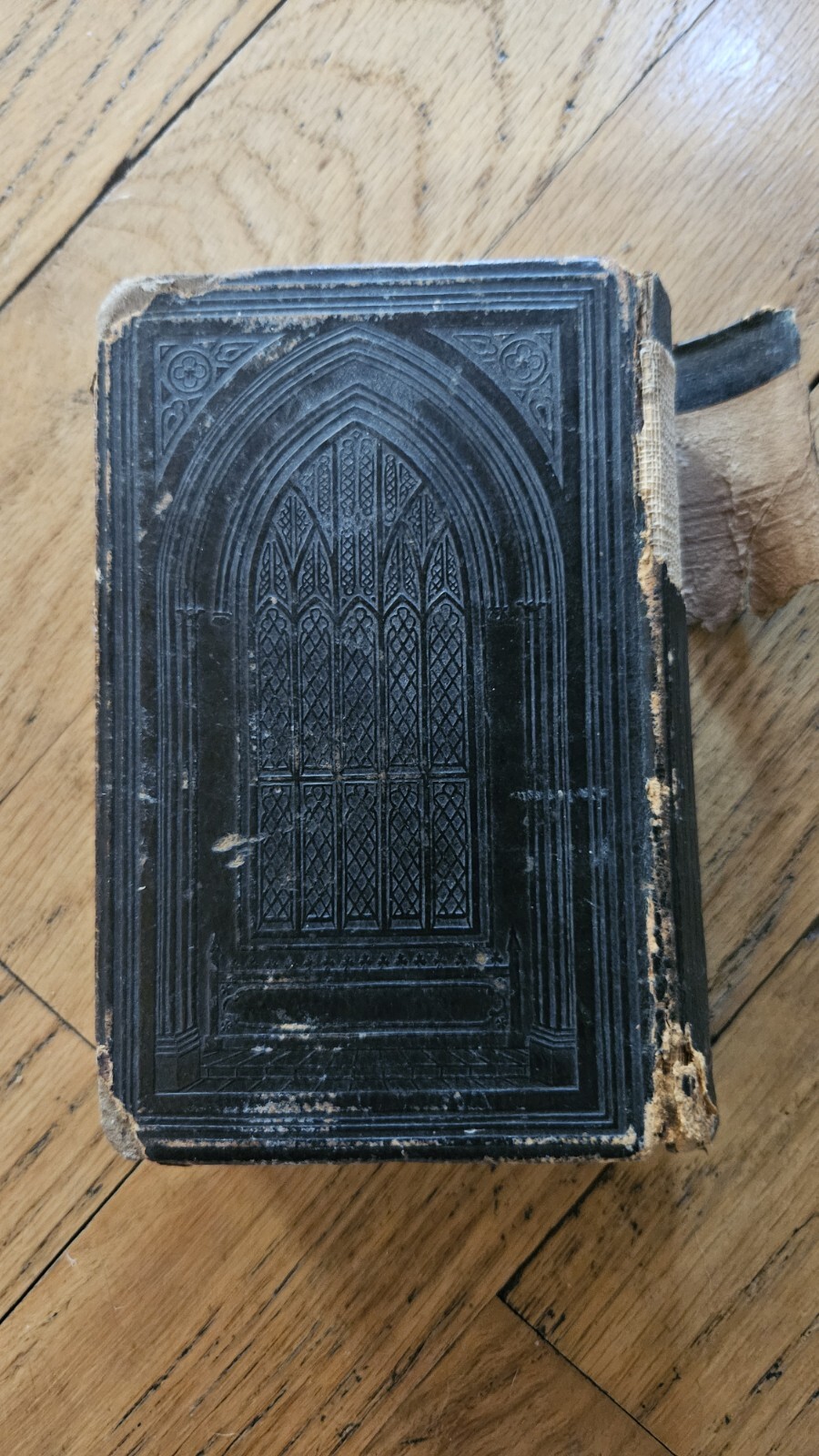 Picture 3 of 6