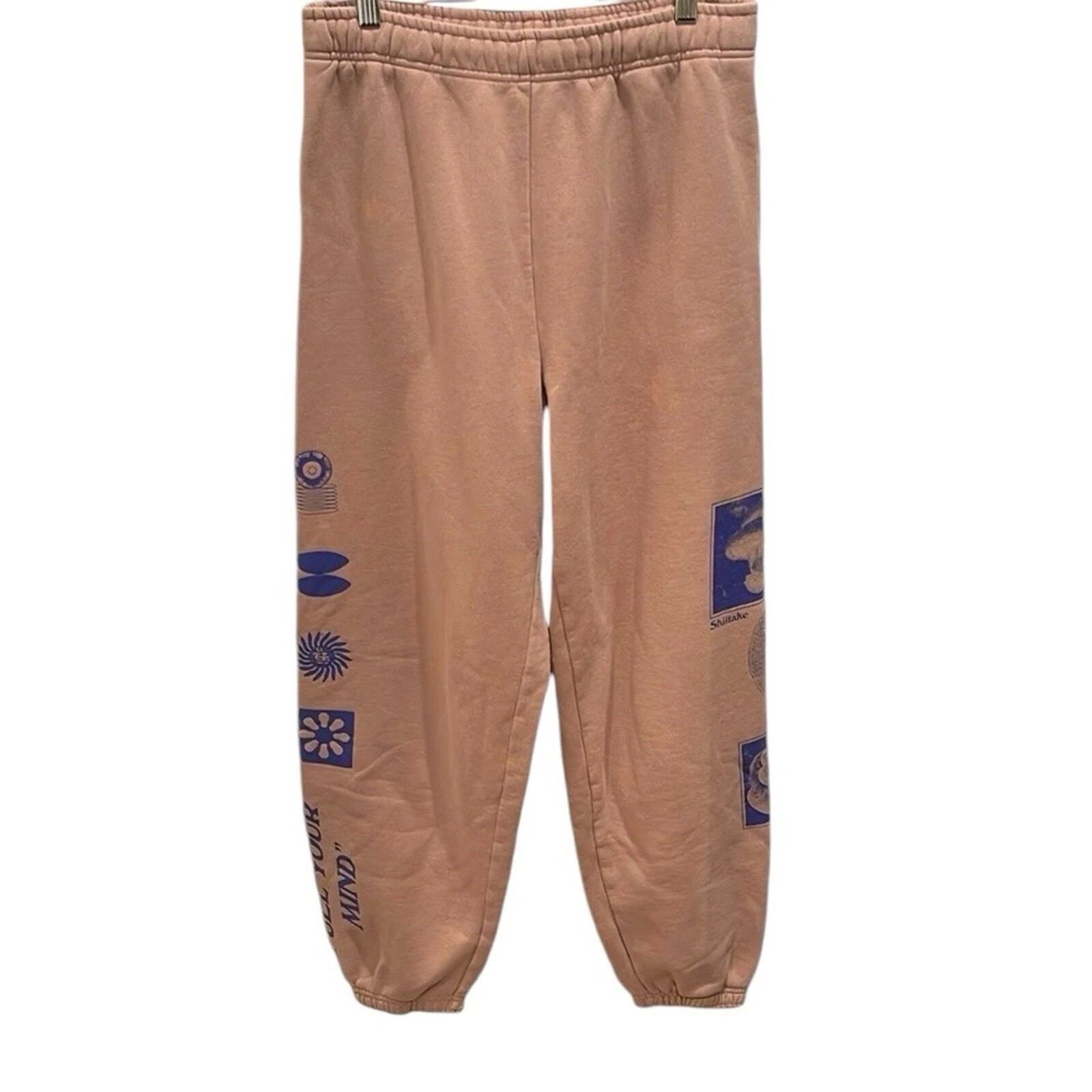 aritzia mushroom graphic sweatpants