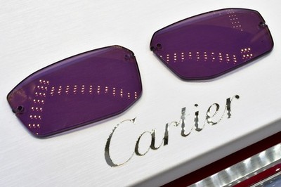 Cartier rimless Large Panthere sunglasses (Lenses Only) C decor ct0474s ct0494O