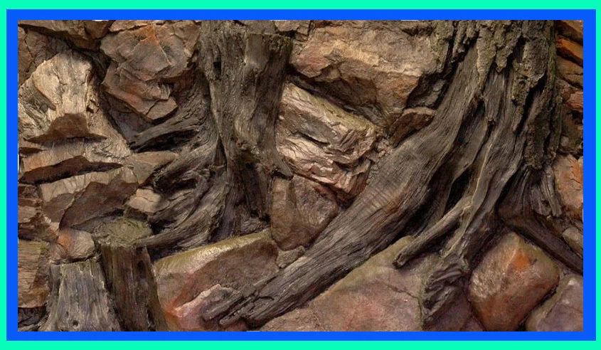 ATG Aquarium 3 D Rückwand Aquariumrückwand Wurzel Felsen 200x50cm