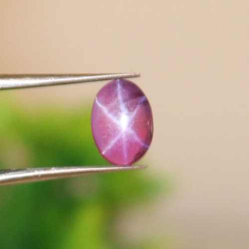 Pierre Rubis Étoilé Naturel - 14,46 Carats - Cabochon De Madagascar - Traitement Remplissage Verre/plomb