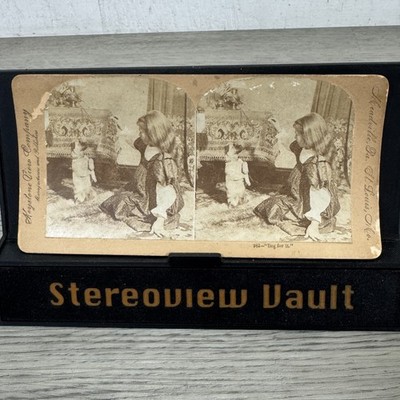 Beg for It Stereoview Keystone View Co. Meadville PA Victorian