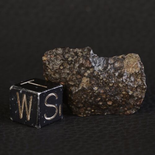 Météorite NWA 16387 de 4,73 g - Chondrite Carbonée type CK3 - Foto 5 di 11