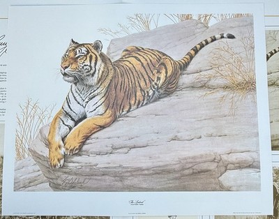 Large Guy Coheleach Signed The Lookout Print Signed, PANTHERA TIGRIS, Tigers