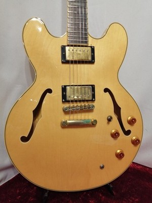 [EPIPHONE] SHERATON II NA Used 2014 Maple body Rosewood fingerboard Hardcase