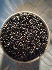 Premium Buckwheat Groats Raw NON GMO , With hulls, For Sprouting, 2lbs