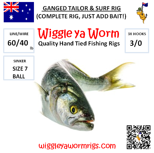 5x Tailor Surf rig 3x 3/0 ganged hooks sinker, Complete ready