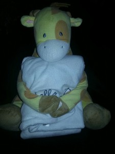 stuffed animal and blanket set