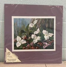 Forest Flowers Art Print 12" x 9.5" Vera Newman with Underlay