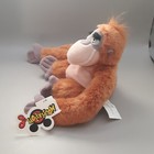 Bild 9 von 11