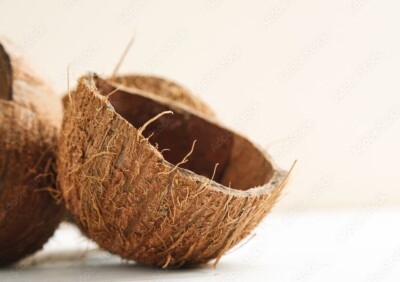 Ceylon Natural 100% Eco-Friendly Coconut Shell Bowl Organic Coconut Shells Halve