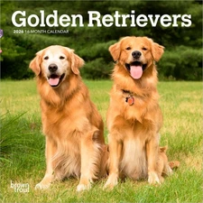Golden Retrievers | 2026 7x14" (Hanging) Monthly Mini Wall Calendar