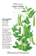 Sugar Daddy Snap Pea Seeds  - 20 Grams