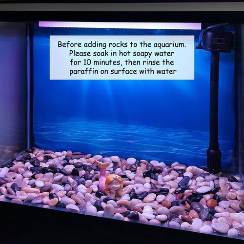 Polished Pebbles River Rocks, 2-3" for Plant Decorative Stones Vase Aquarium 5Lb - Picture 3 of 12