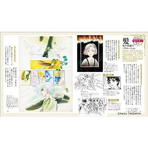 Professionelle Manga-Technik Zeichnen von Manga Keiko Takemiya Japan Buch - Bild 5 von 7