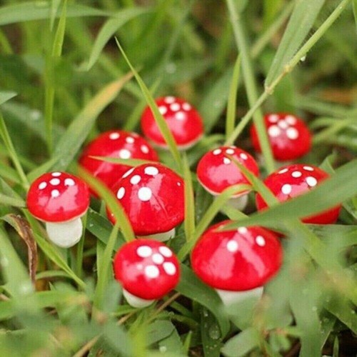 20x 2cm Mini Toadstool Mushroom Fairy Ornament Decoration Garden Crafts Tools` - Picture 8 of 12