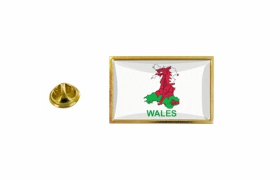 pins pin badge pin's flag country map CYMRU Wales