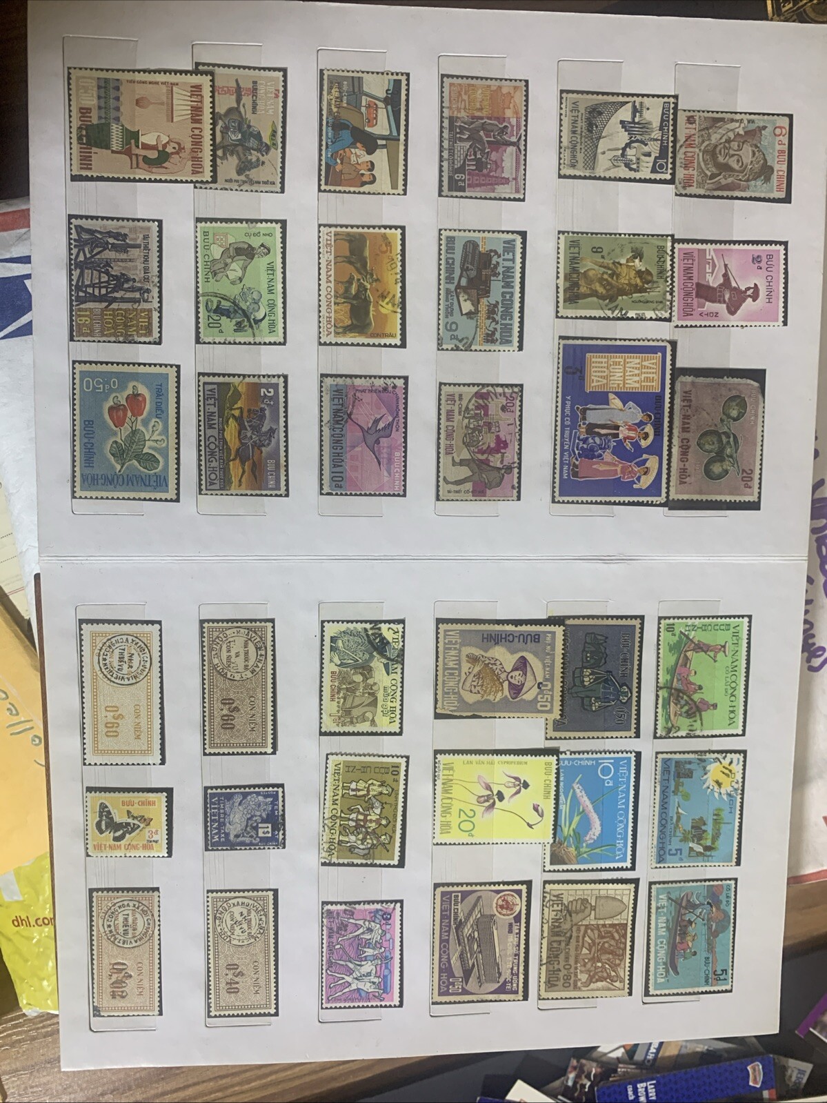 Picture 5 of 13