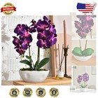 Realistic Double-Stem Orchid Plant in Pot - Ideal for Home and Office Decoration