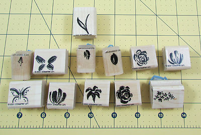 Stampin Up Two Step Stampin Watercolor Minis Stamp Set of 12 Flowers Butterfly 