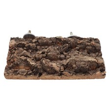 Bird Perch Wood: Parrot Perch for Cage - Budgie Platform Bark Wood Resting