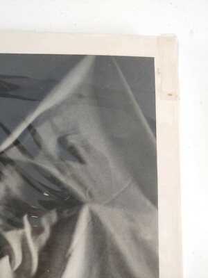 DAVID SALLE PHOTOGRAPHS 1980 TO 1990 Robert Miller Gallery 1991