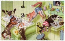 Mainzer - Hartung Cats Postcard 4971 - Mayhem in the Bathroom - Belgium Printing
