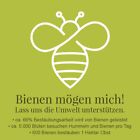 Bild 7 von 9