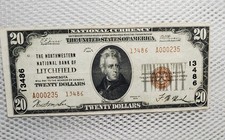 1929 $20 National Currency Brown Seal Nortwestern NB Litchfield, Minnesota Rare