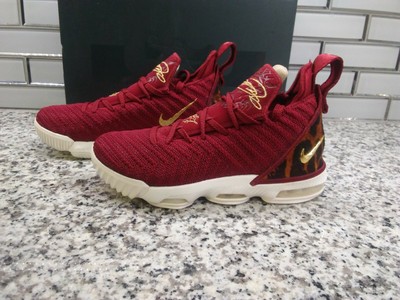 lebron 16 low grade school