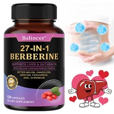 27-IN-1 Berberine Supplement - Gut,Liver,Digestive And Cholesterol Support