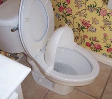 The Splatter Shield-potty training-potty protector-shield-urinal-special needs