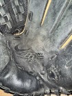 Bild 7 von 12