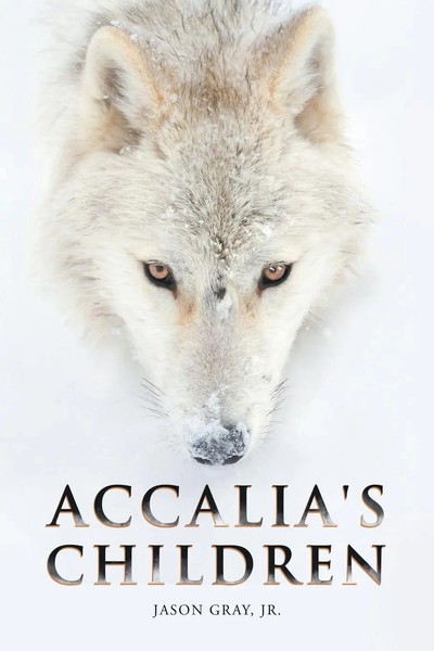Accalia's Children Jr. Jason Gray Taschenbuch Kartoniert / Broschiert Englisch-image