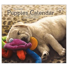 Legacy Publishing Group,  Puppies by Sueellen Ross 2026 Wall Calendar, 13.38'' X