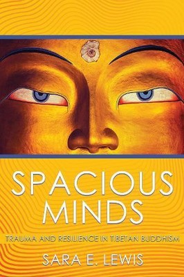 Spacious Minds von Sara E. Lewis NEU Taschenbuch Softcover