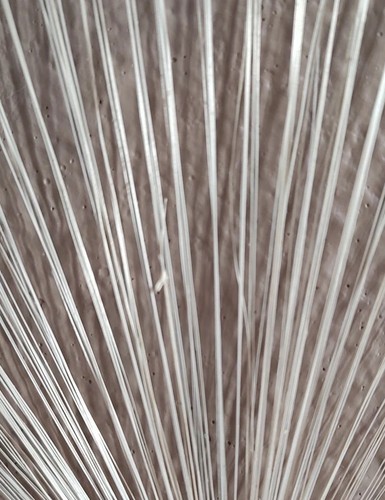 Ventilador de pared festoneado tejido decorativo 13,5"x11"-abaca paja-Filipinas*desgaste ligero - Imagen 7 de 8
