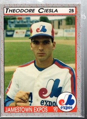 B6718- 1990 Pucko Minor League Baseball Karten -du Pick- 15 + Gratis US Schiff
